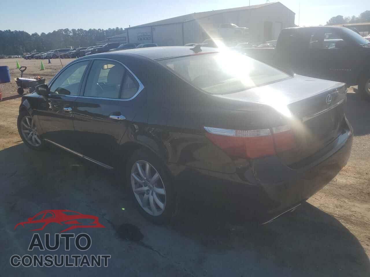 LEXUS LS460 2009 - JTHBL46F495087385