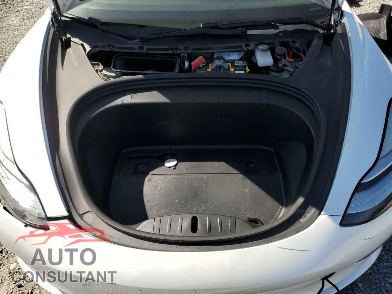 TESLA MODEL 3 2019 - 5YJ3E1EA6KF313046