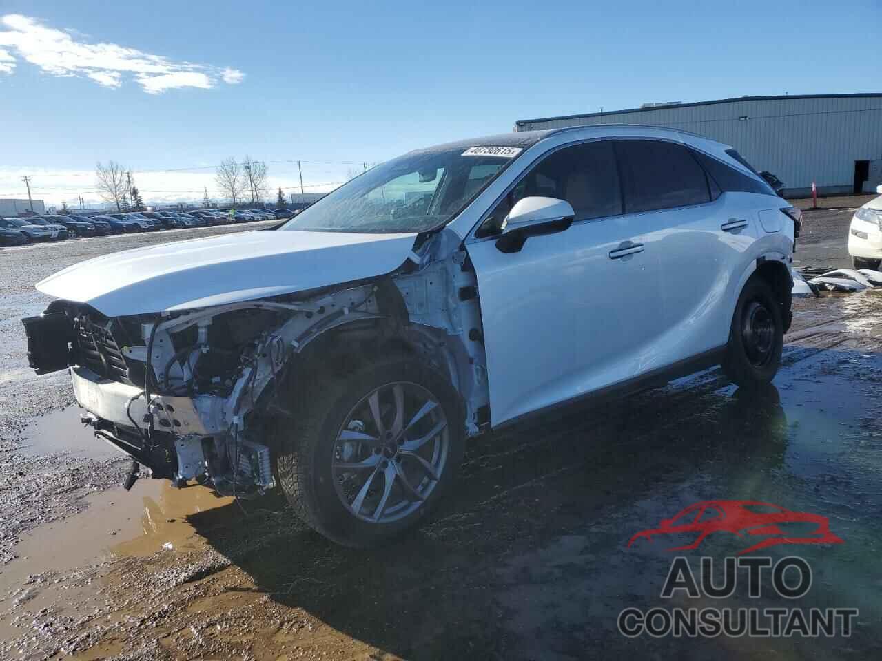 LEXUS RX 350H BA 2024 - 2T2BBMCA4RC029157