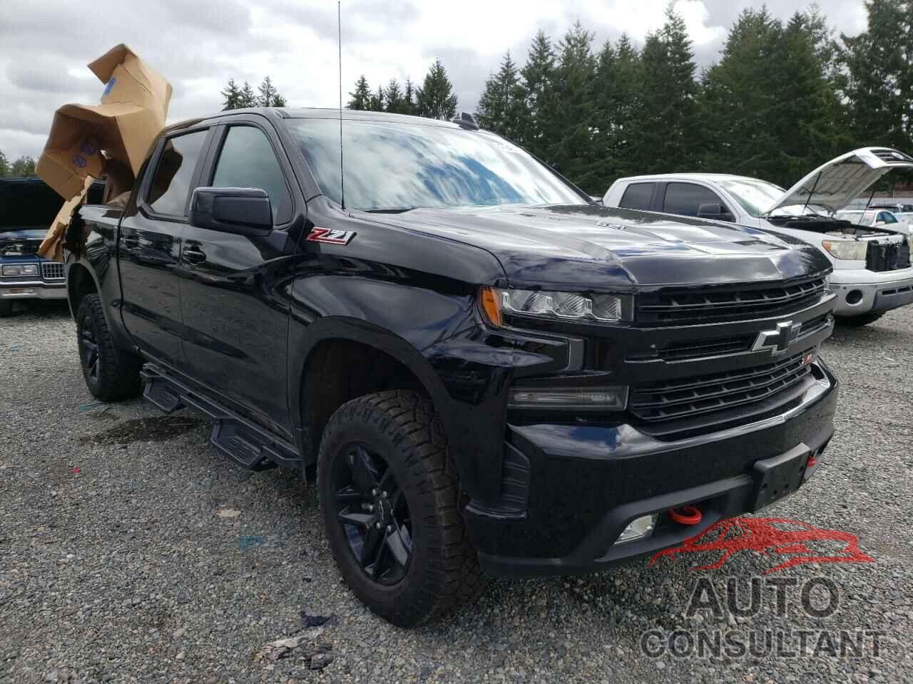 CHEVROLET SILVERADO 2020 - 3GCPYFEL7LG396697