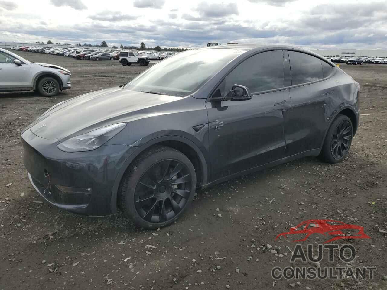 TESLA MODEL Y 2024 - 7SAYGDEE2RF164264