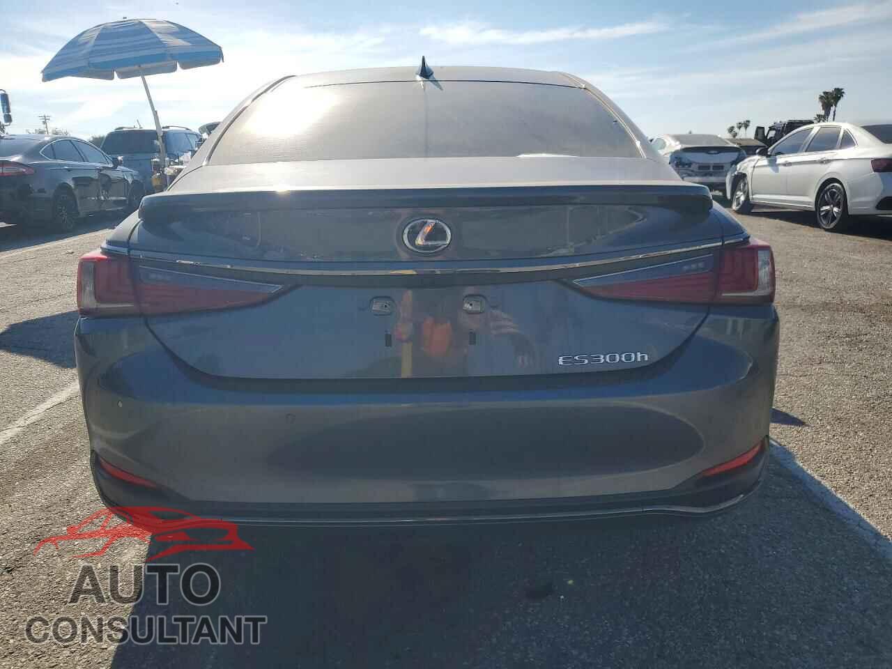 LEXUS ES300 2024 - 58ABA1C10RU043473