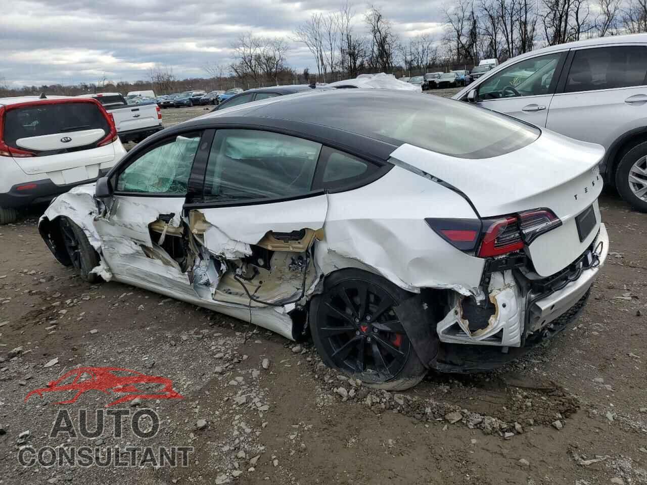 TESLA MODEL 3 2021 - 5YJ3E1EA5MF028051