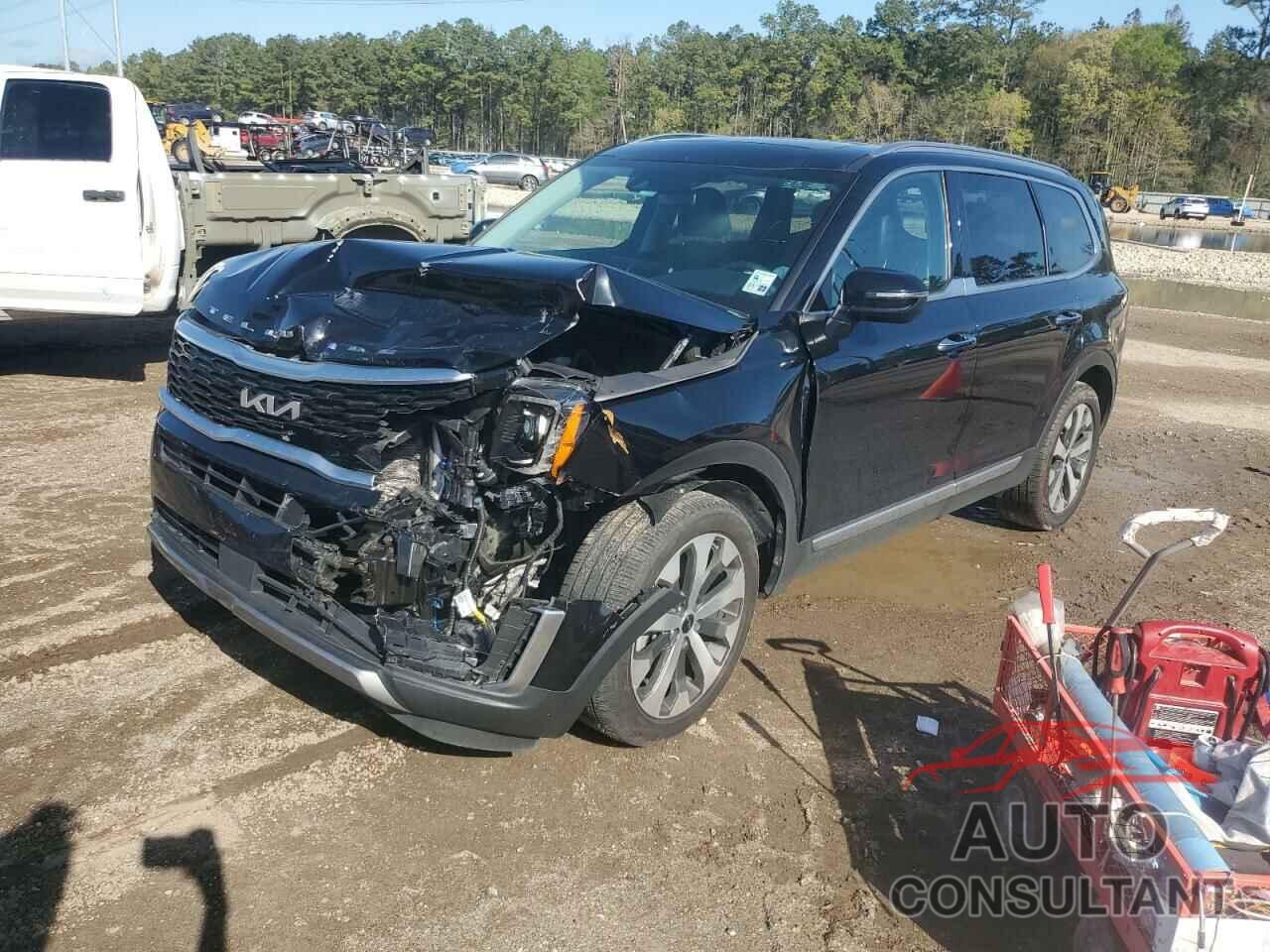 KIA TELLURIDE 2022 - 5XYP64HCXNG255596