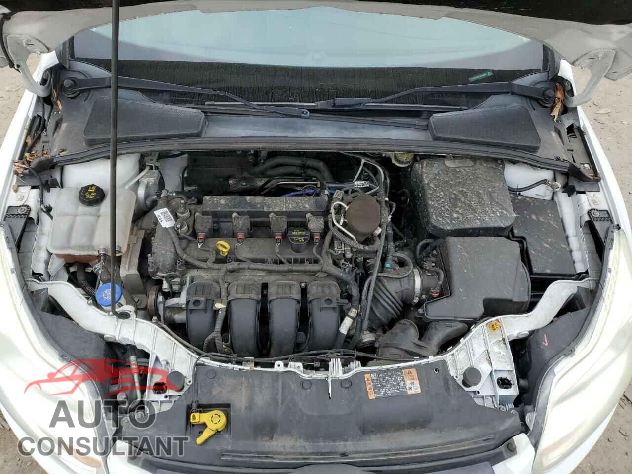 FORD FOCUS 2014 - 1FADP3F24EL374288
