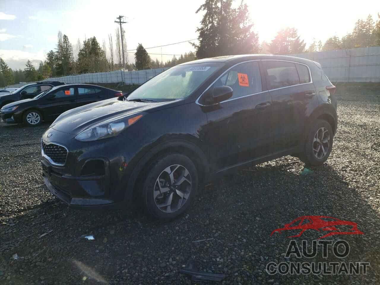 KIA SPORTAGE 2022 - KNDPM3AC8N7024025
