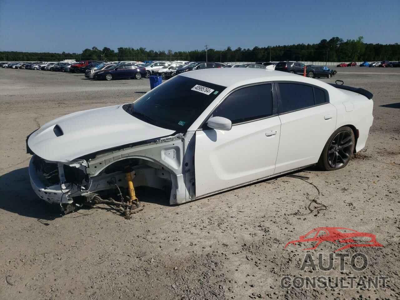 DODGE CHARGER 2020 - 2C3CDXGJ1LH217876