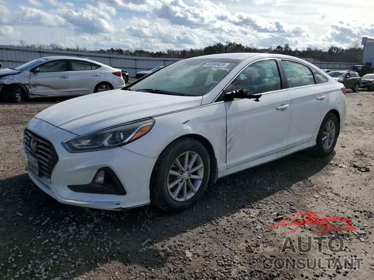 HYUNDAI SONATA 2019 - 5NPE24AF7KH796679
