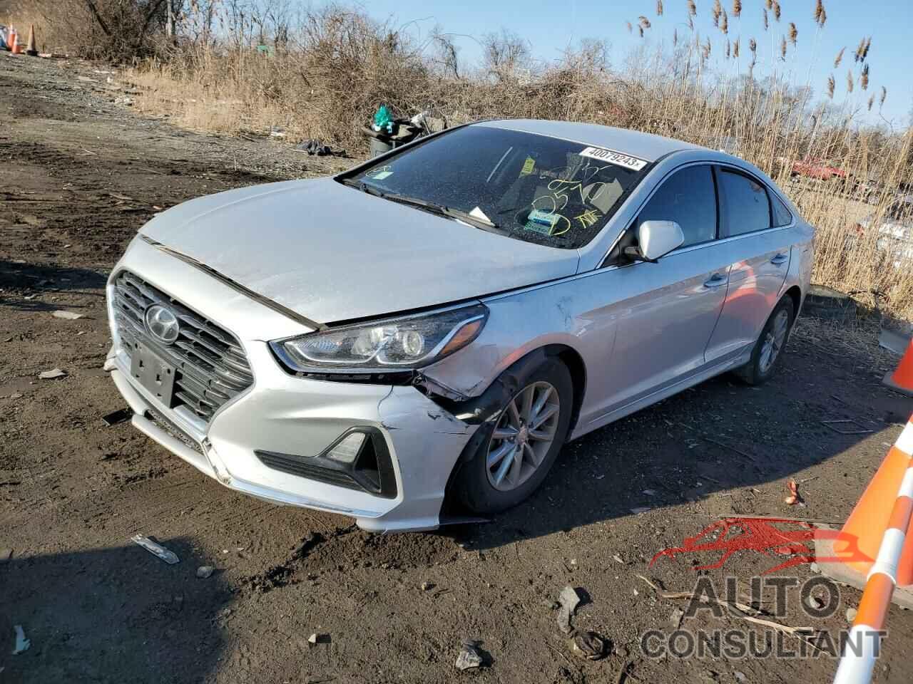 HYUNDAI SONATA 2019 - 5NPE24AF0KH788908