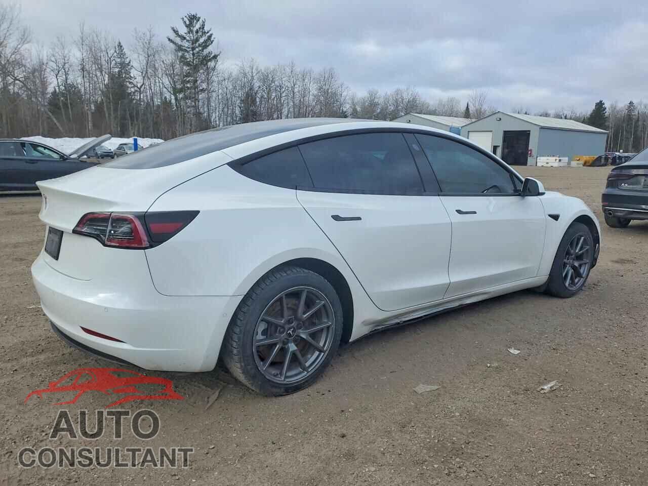 TESLA MODEL 3 2021 - 5YJ3E1EA3MF031983