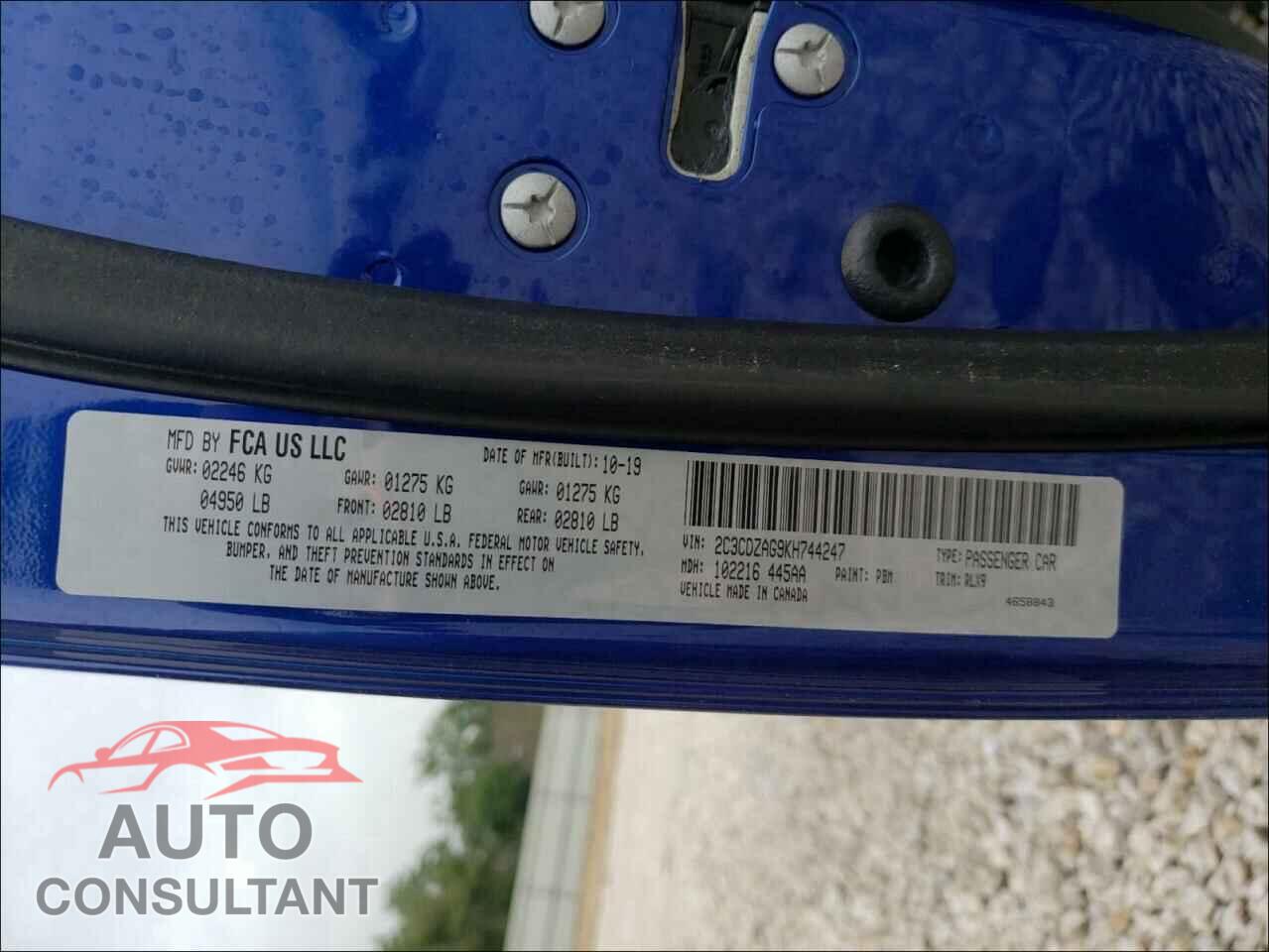 DODGE CHALLENGER 2019 - 2C3CDZAG9KH744247