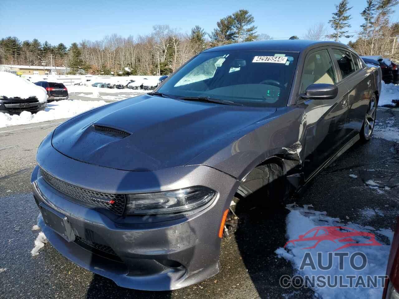 DODGE CHARGER 2022 - 2C3CDXHG9NH166052