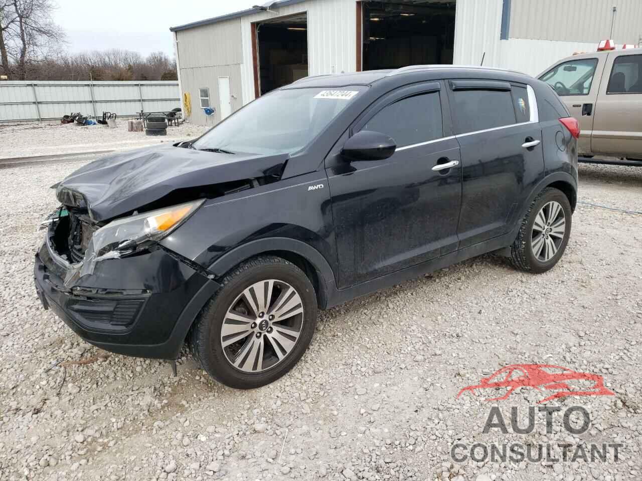 KIA SPORTAGE 2016 - KNDPCCAC1G7852858