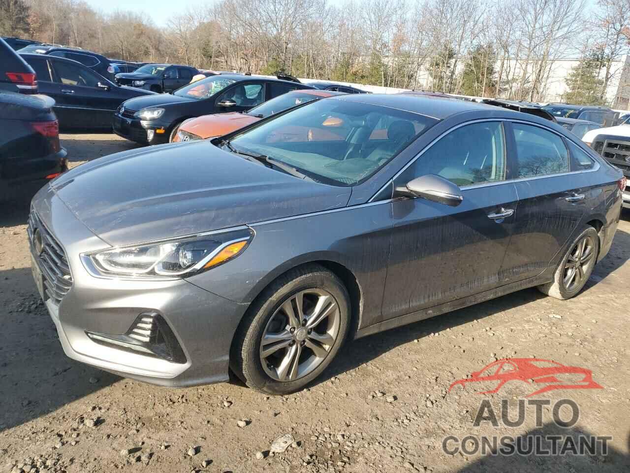 HYUNDAI SONATA 2018 - 5NPE34AF9JH651963