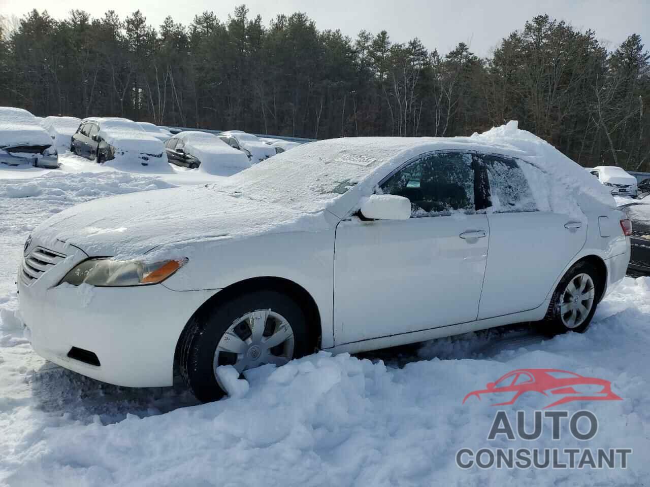TOYOTA CAMRY 2009 - 4T4BE46K09R065111