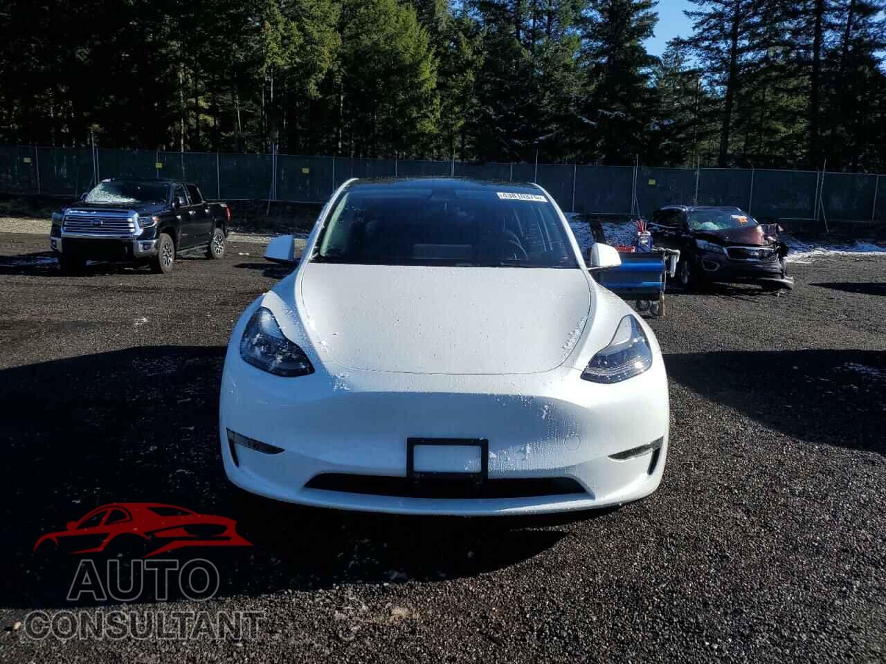 TESLA MODEL Y 2023 - 7SAYGDEE0PF683083