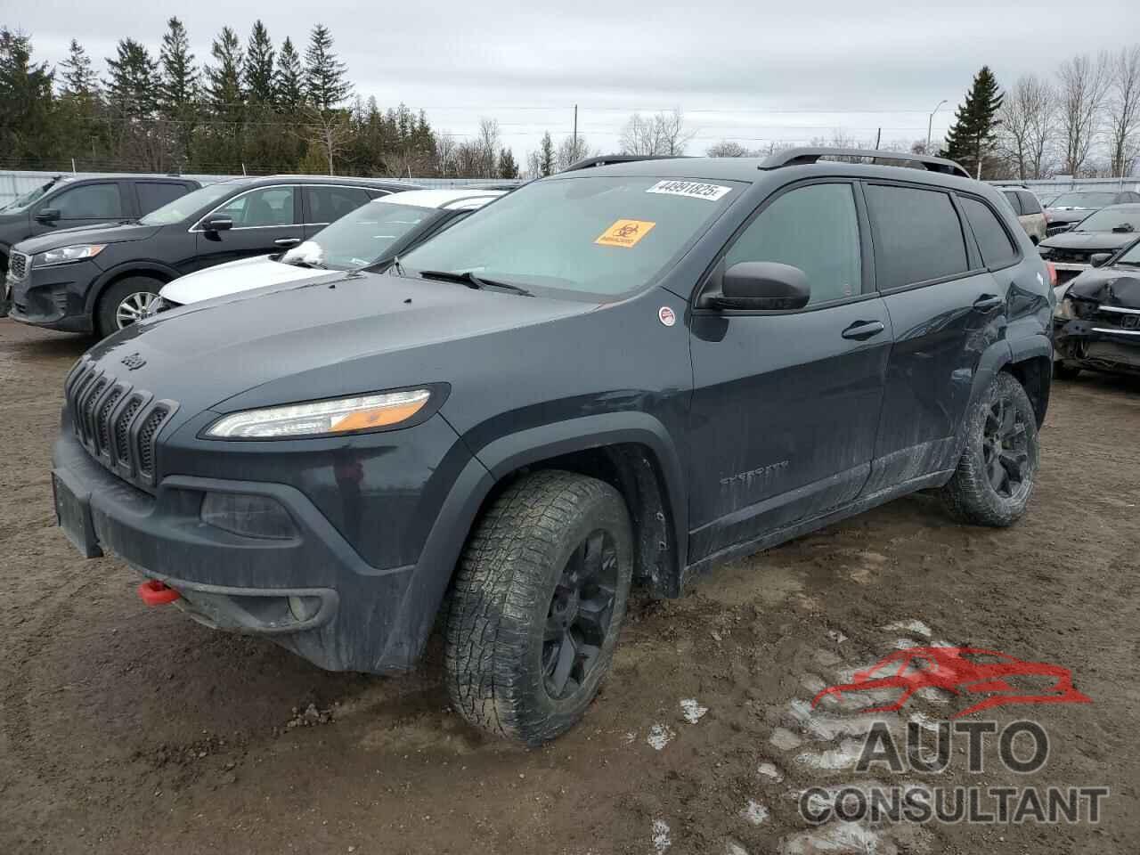 JEEP CHEROKEE 2017 - 1C4PJMBS9HW620050