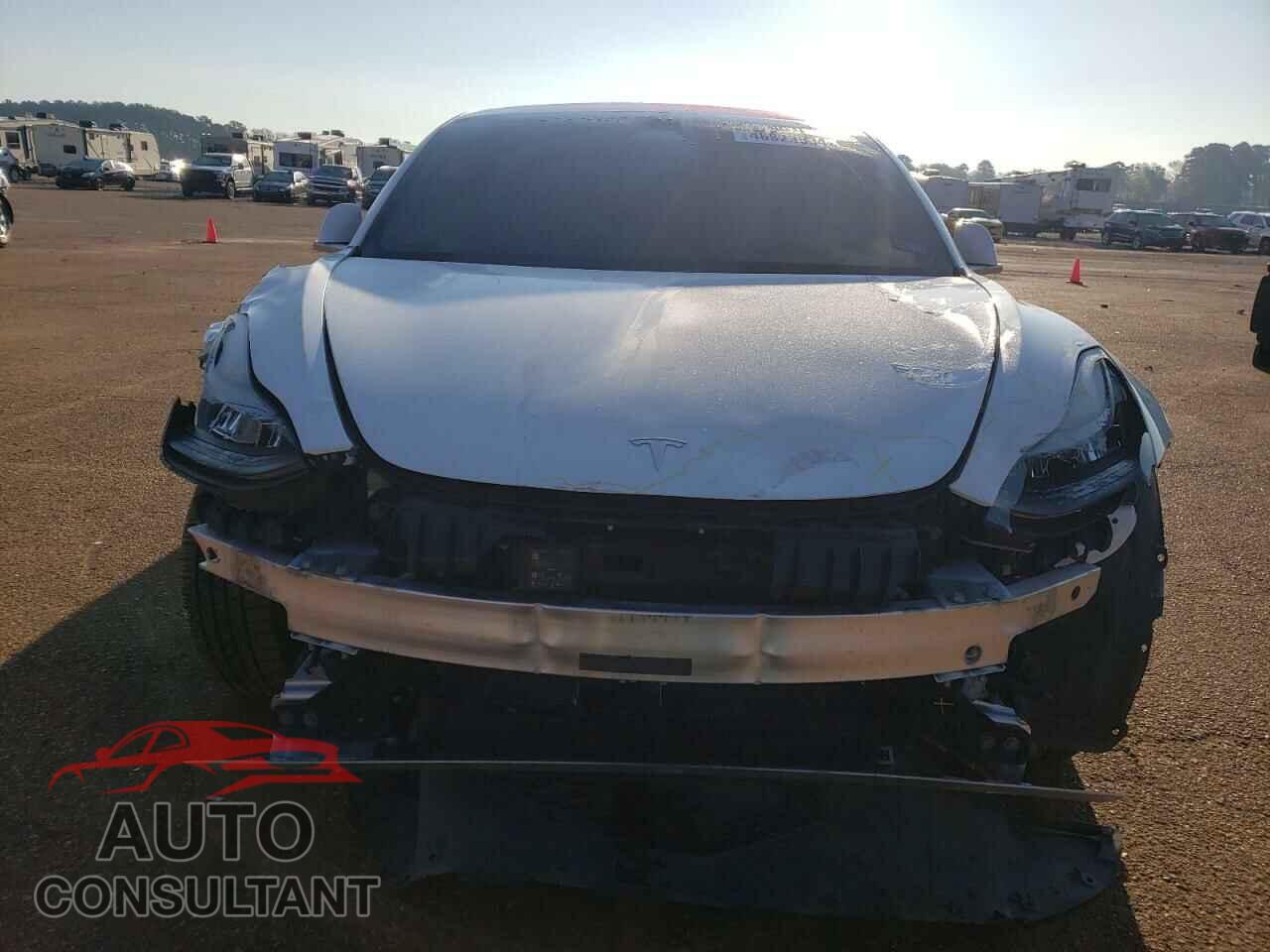 TESLA MODEL 3 2019 - 5YJ3E1EA1KF309907