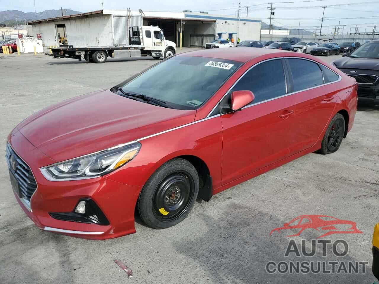 HYUNDAI SONATA 2019 - 5NPE24AF1KH807272