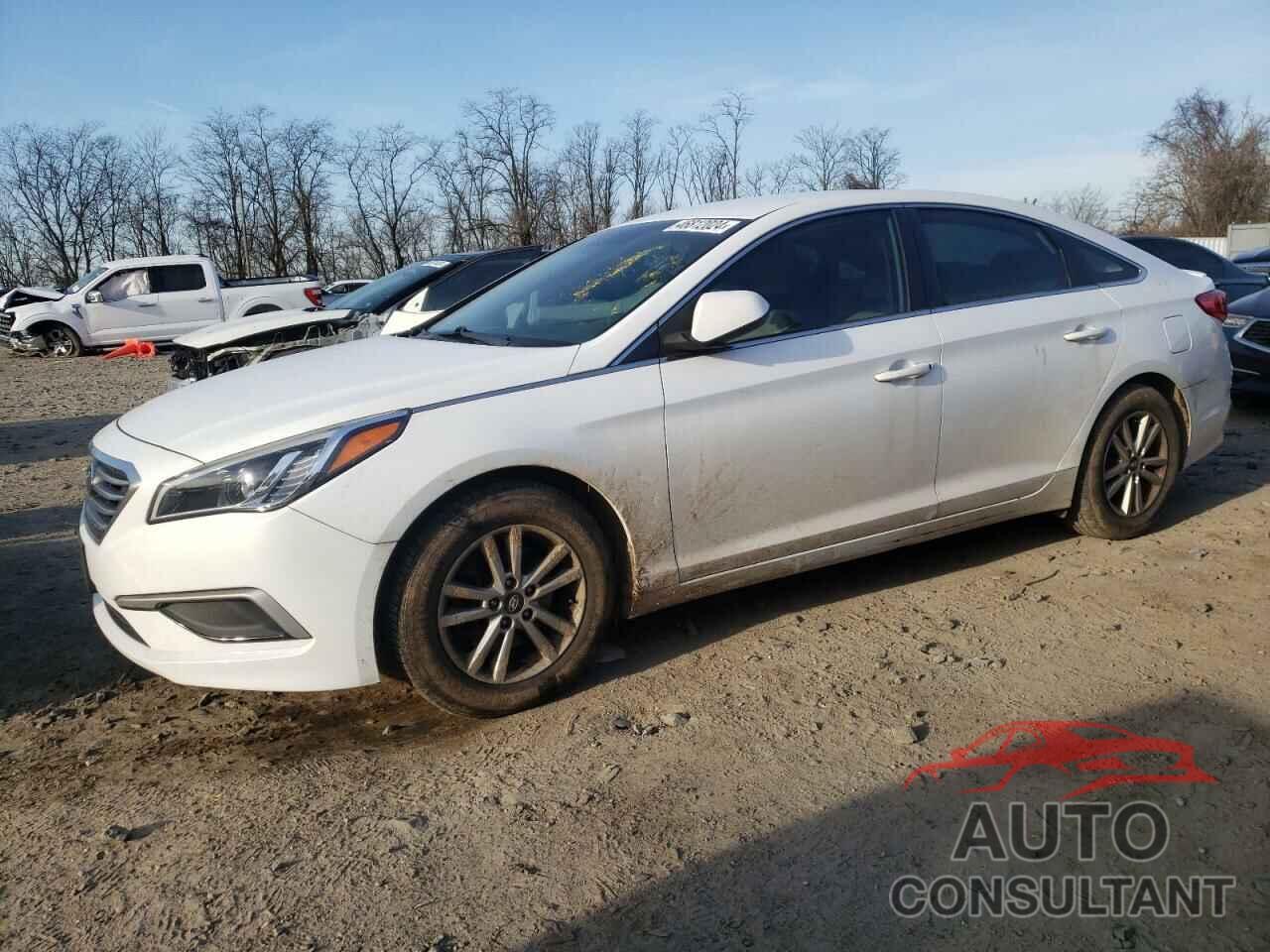 HYUNDAI SONATA 2017 - 5NPE24AF5HH558211