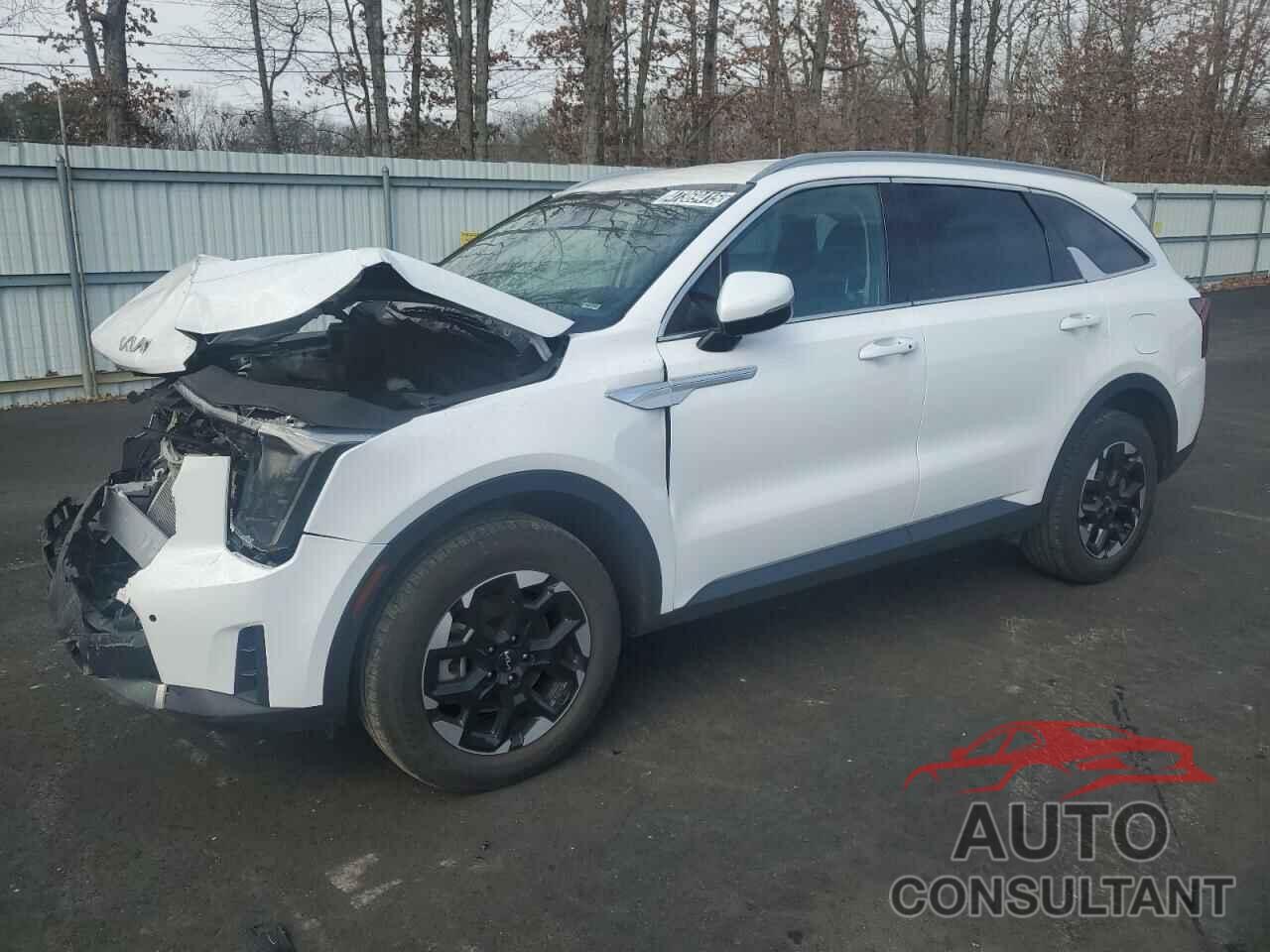 KIA SORENTO 2024 - 5XYRLDJCXRG255695