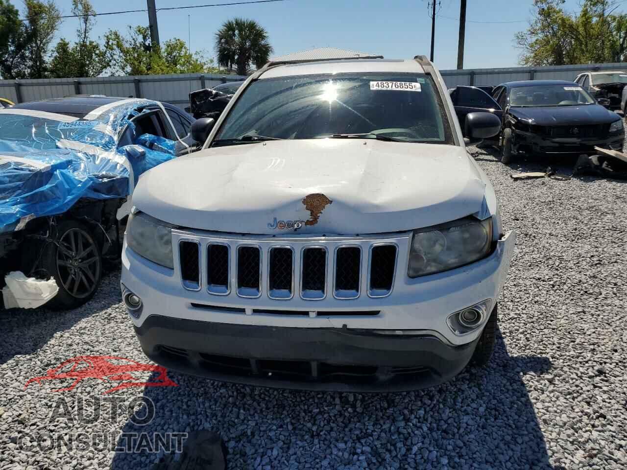 JEEP COMPASS 2011 - 1J4NT5FB5BD151893