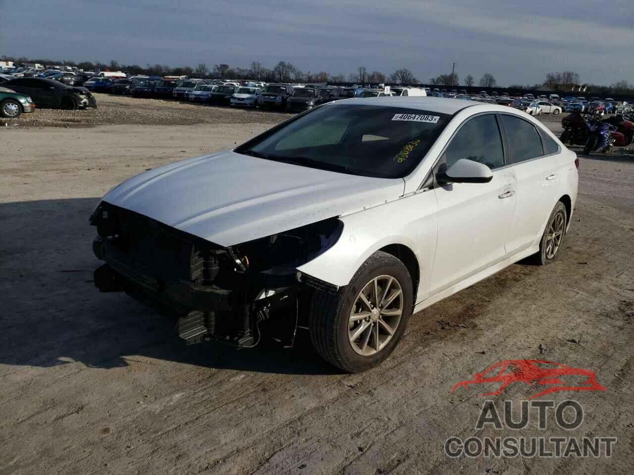 HYUNDAI SONATA 2019 - 5NPE24AF0KH818182