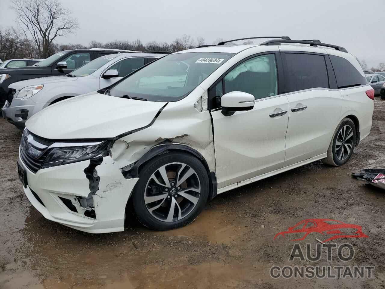 HONDA ODYSSEY 2019 - 5FNRL6H96KB091557