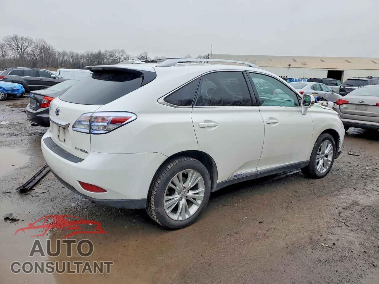 LEXUS RX450 2010 - JTJBC1BA8A2022682