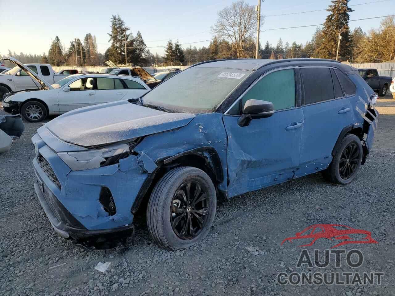 TOYOTA RAV4 2024 - 4T3E6RFV8RU142262