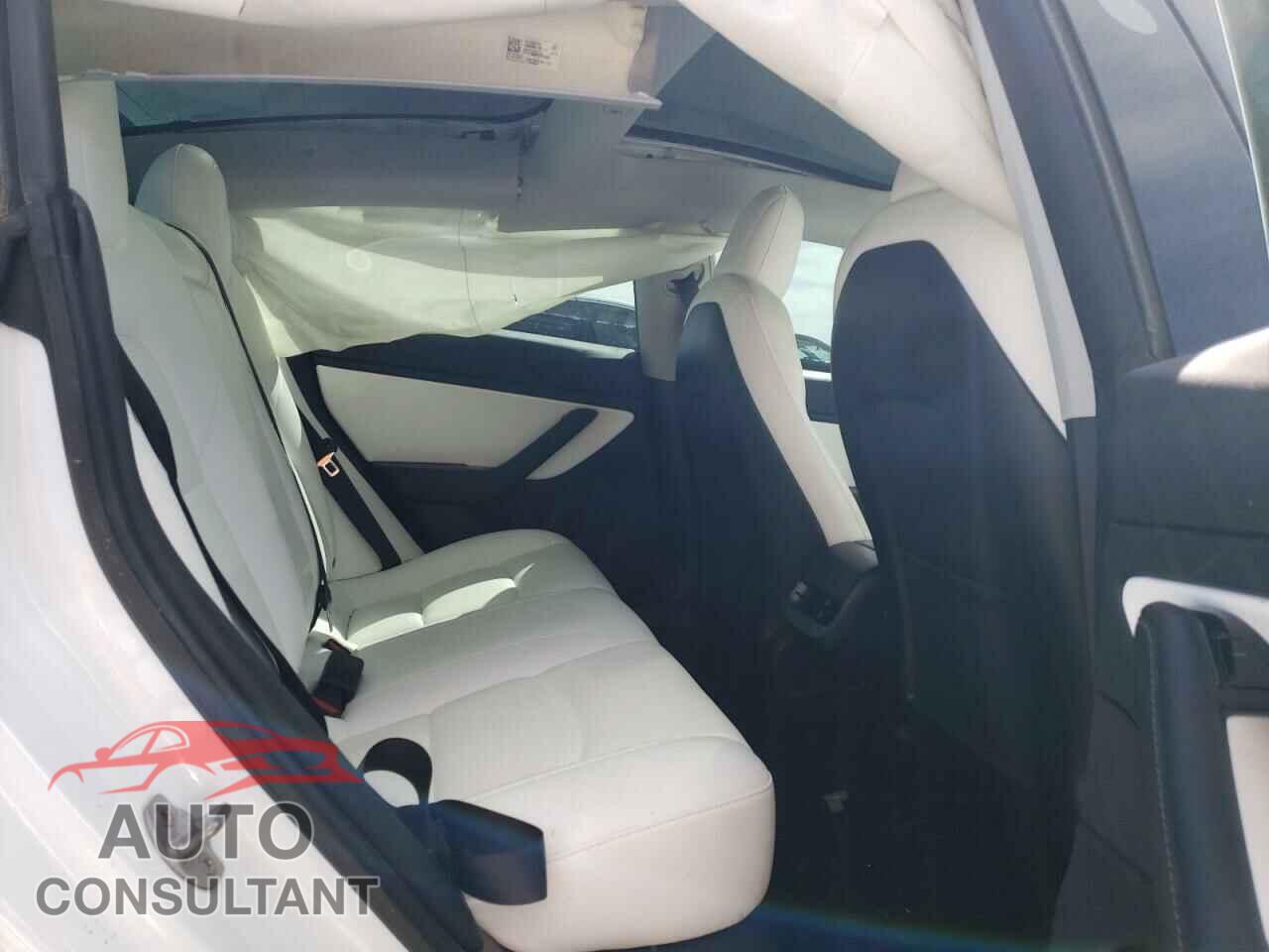 TESLA MODEL 3 2019 - 5YJ3E1EA2KF486904