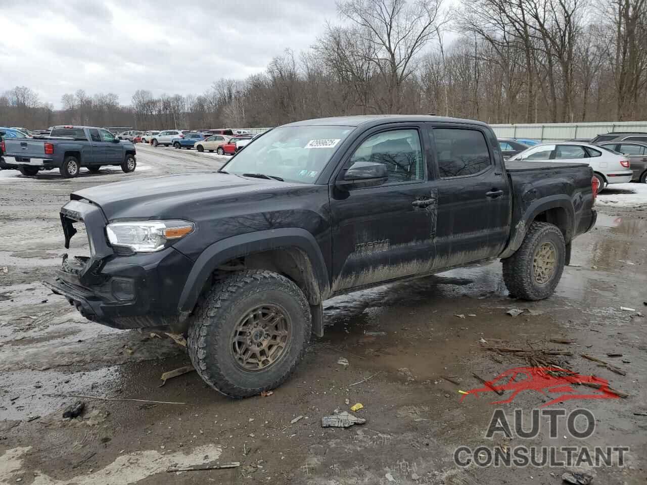 TOYOTA TACOMA 2023 - 3TMCZ5AN0PM551689