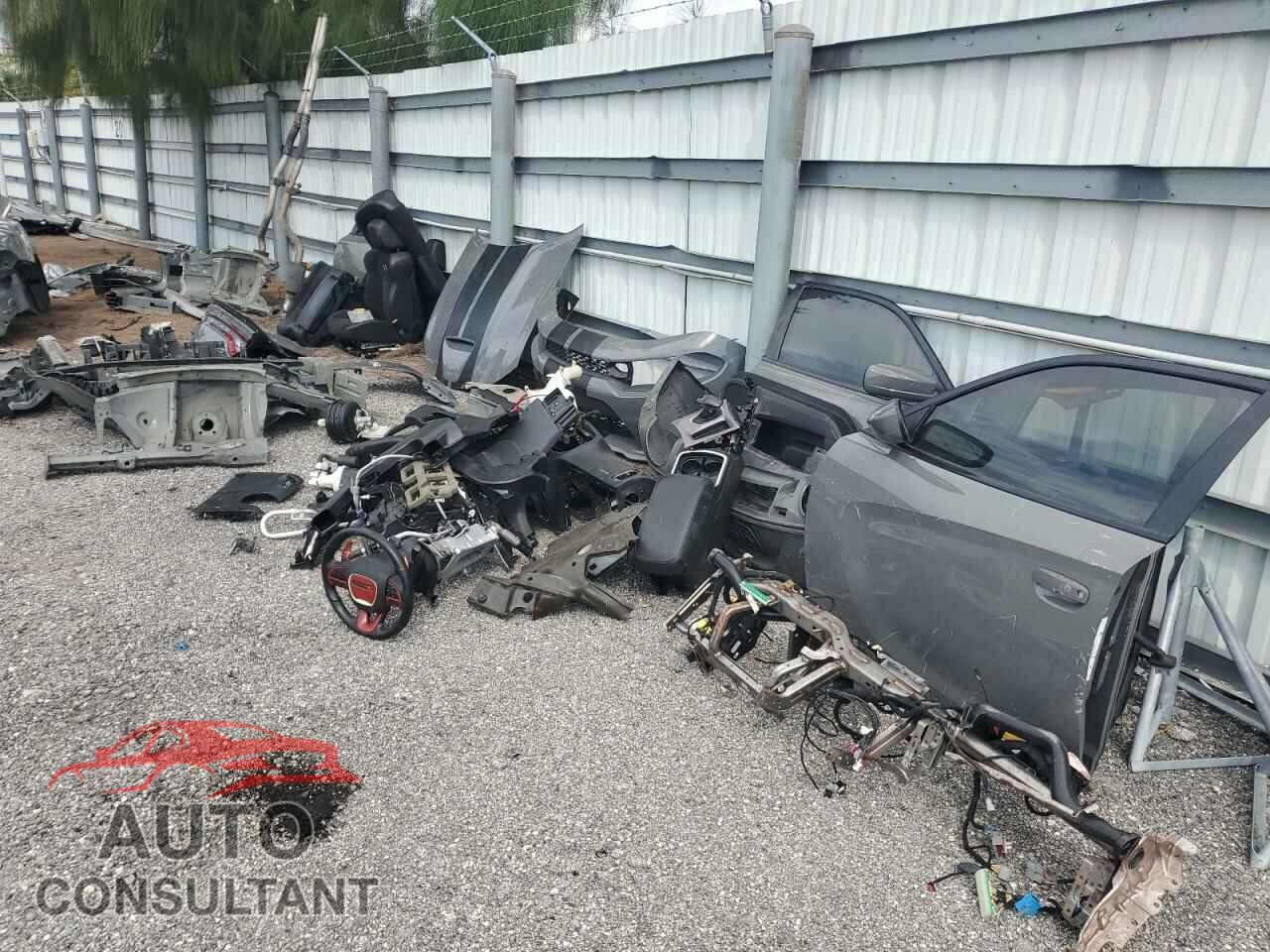 DODGE CHARGER 2019 - 2C3CDXGJ9KH681514