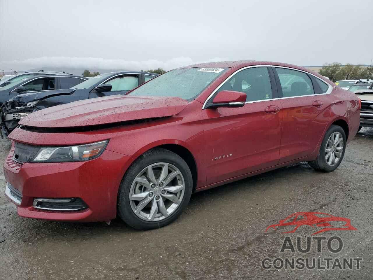 CHEVROLET IMPALA 2019 - 1G11Z5SA1KU123355