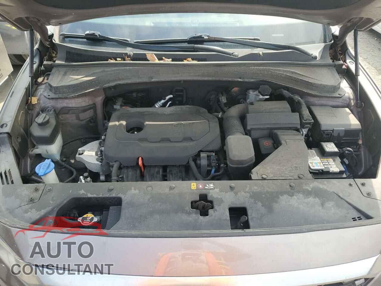 HYUNDAI SANTA FE 2019 - 5NMS23AD2KH015236