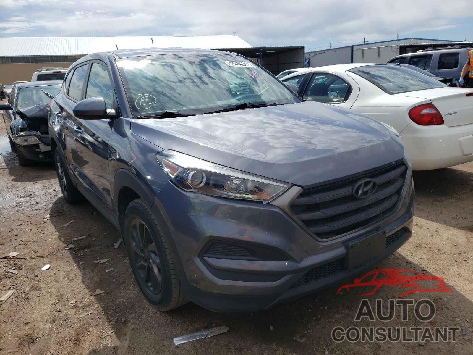 HYUNDAI TUCSON 2016 - KM8J23A45GU226440