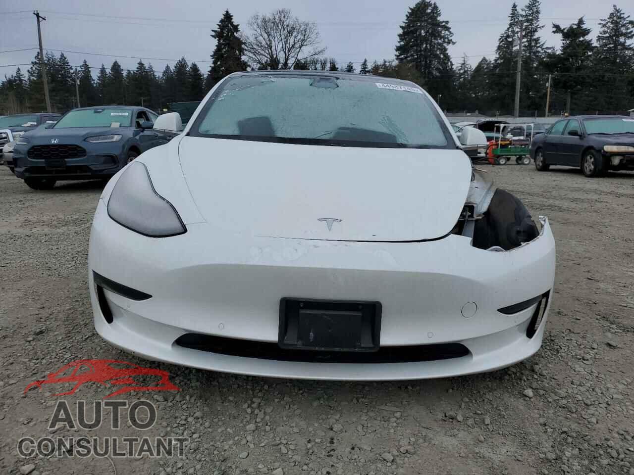 TESLA MODEL 3 2019 - 5YJ3E1EA7KF483593