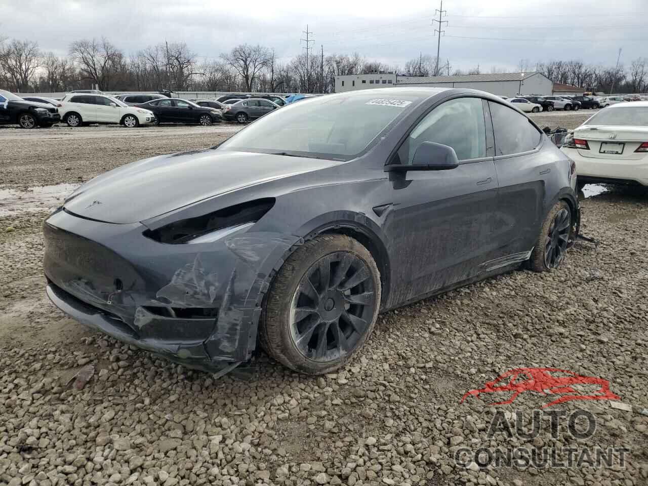 TESLA MODEL Y 2024 - 7SAYGDEEXRF988853