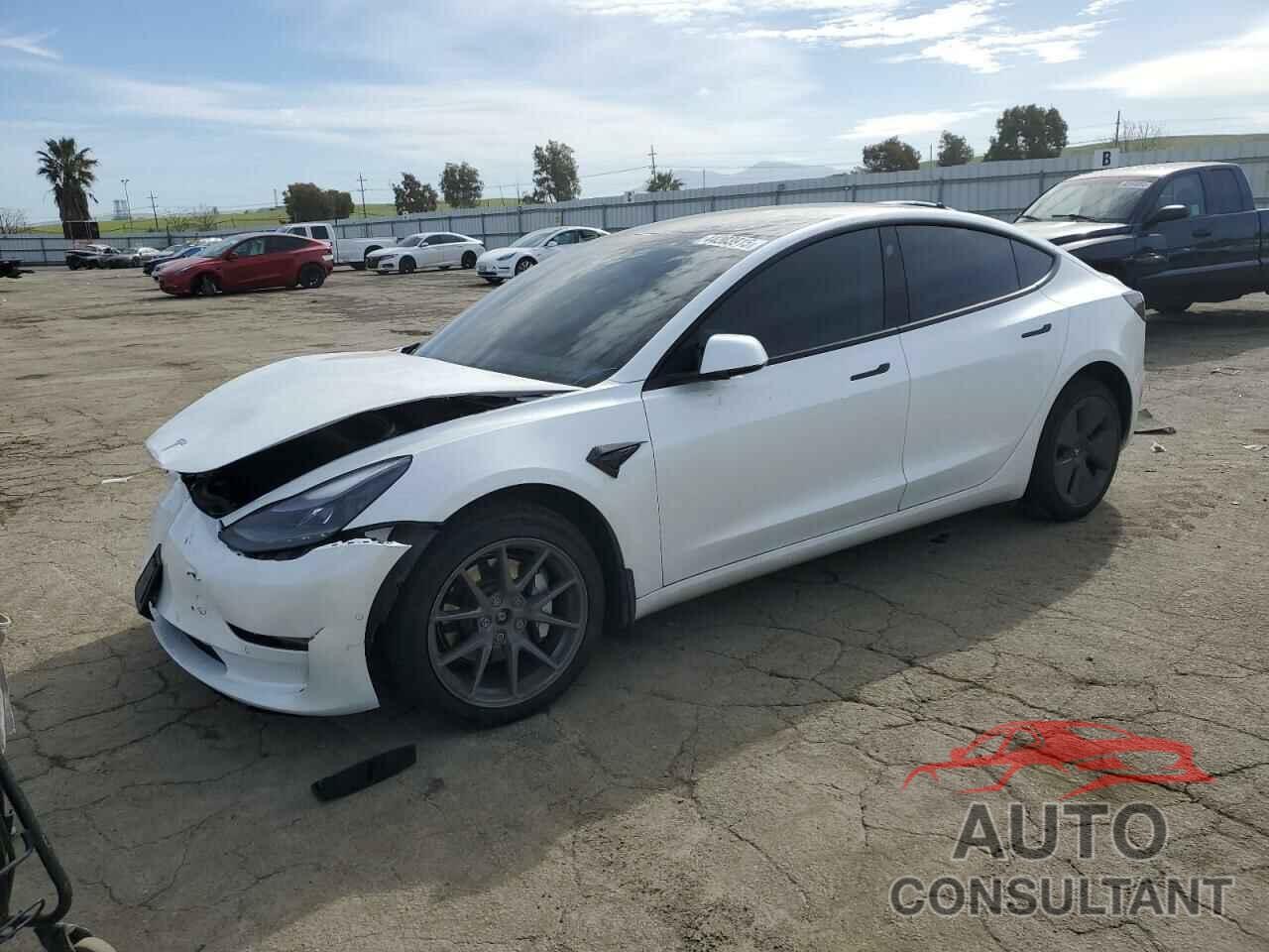 TESLA MODEL 3 2022 - 5YJ3E1EB7NF183307