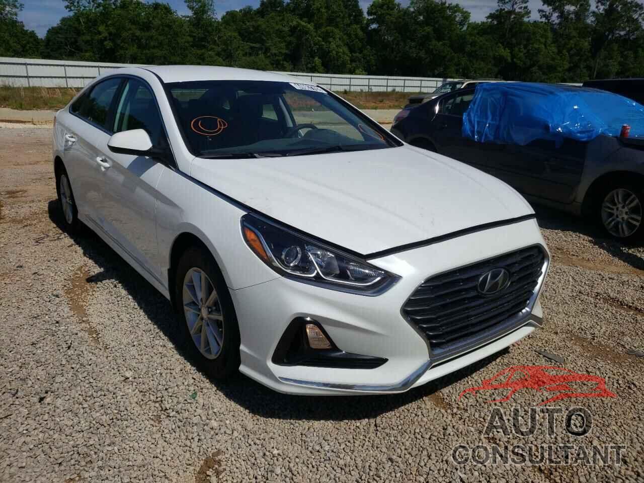 HYUNDAI SONATA 2019 - 5NPE24AF9KH777874