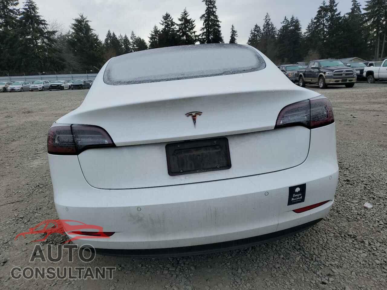 TESLA MODEL 3 2019 - 5YJ3E1EA7KF483593