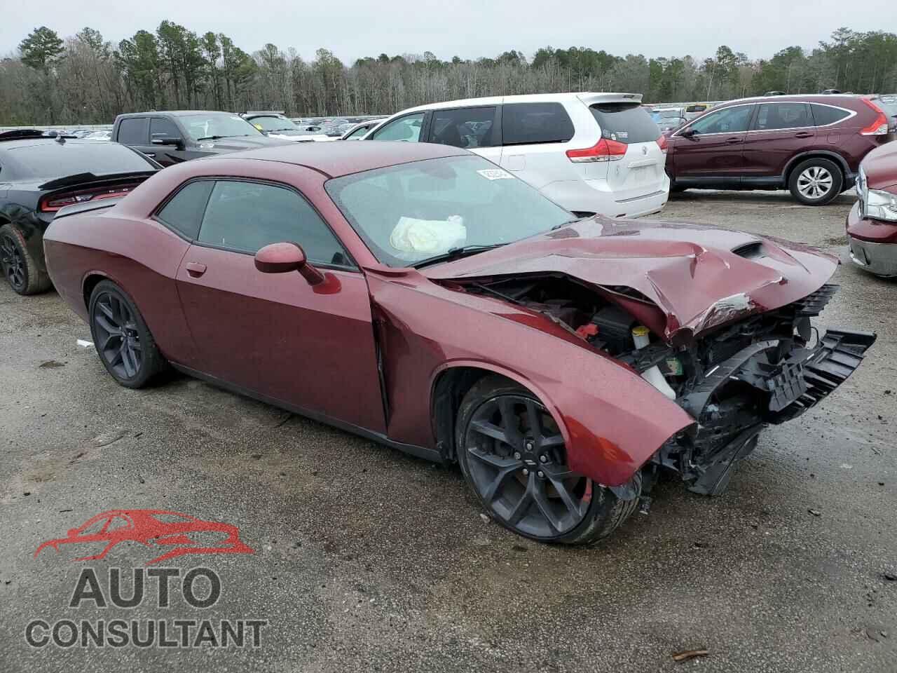 DODGE CHALLENGER 2019 - 2C3CDZJG6KH557872