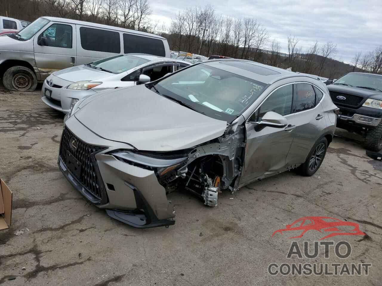 LEXUS NX 350 2023 - 2T2GGCEZ0PC028606