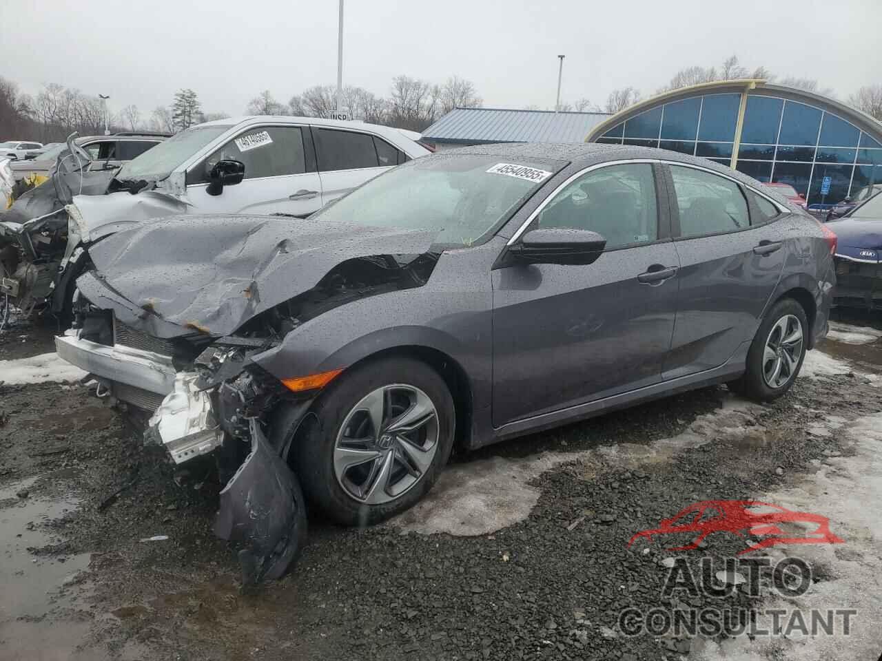 HONDA CIVIC 2019 - 2HGFC2F61KH565463