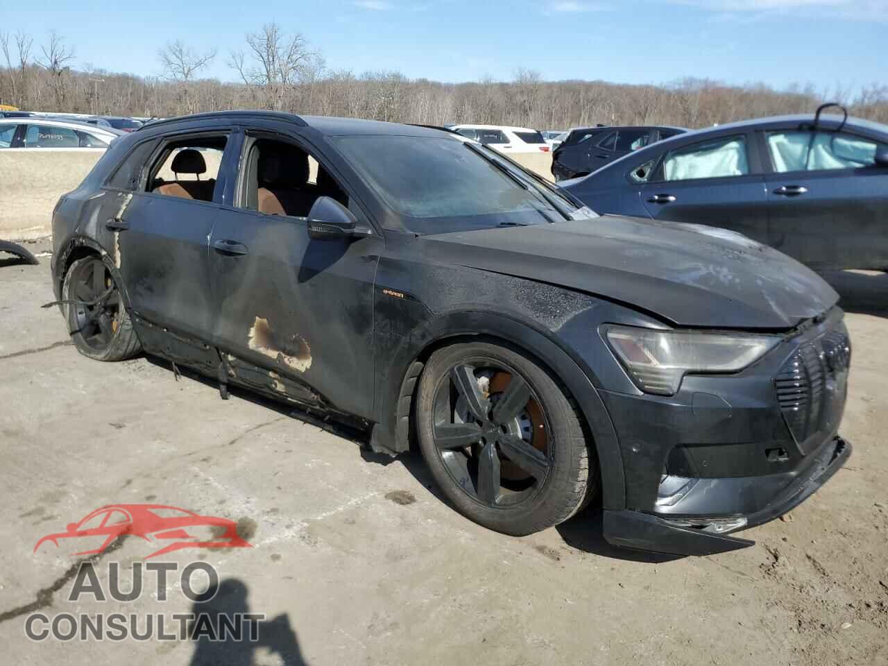 AUDI E-TRON 2019 - WA1LAAGE2KB013285