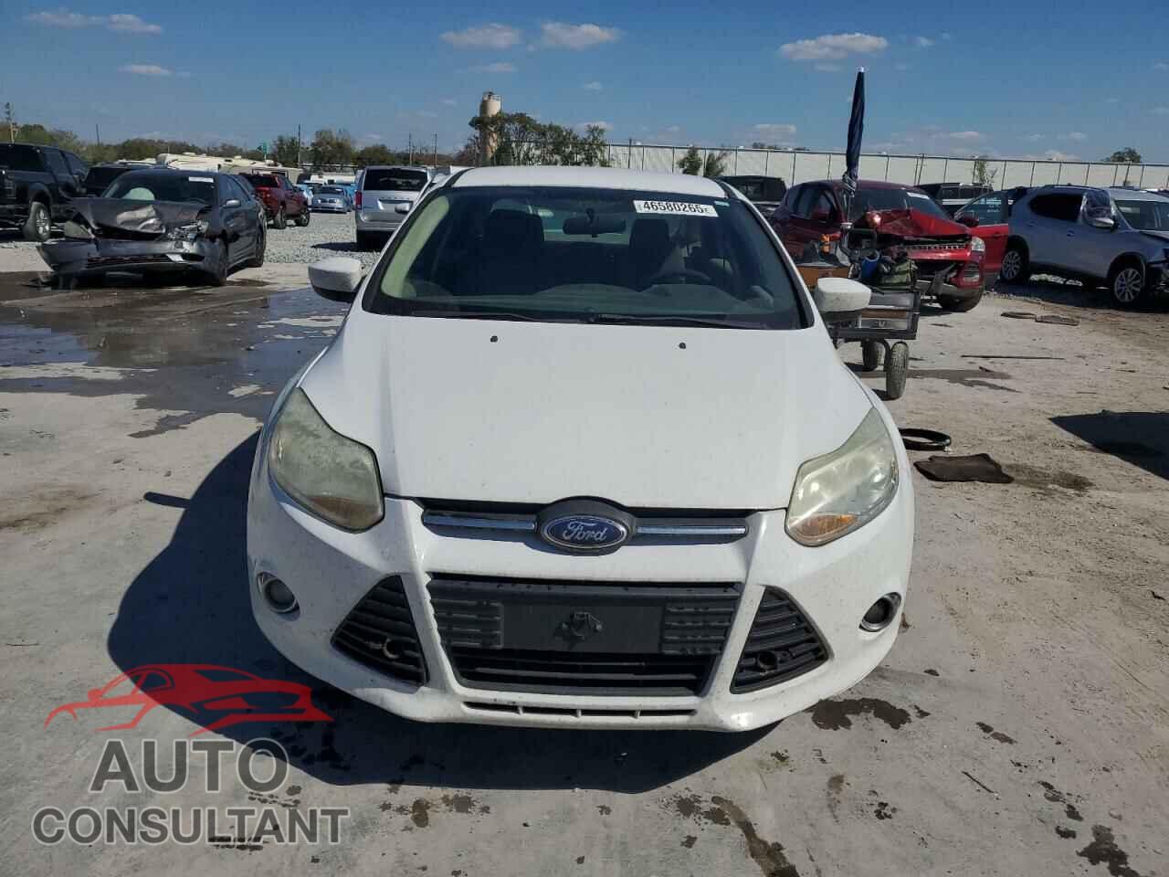 FORD FOCUS 2012 - 1FAHP3F21CL420464