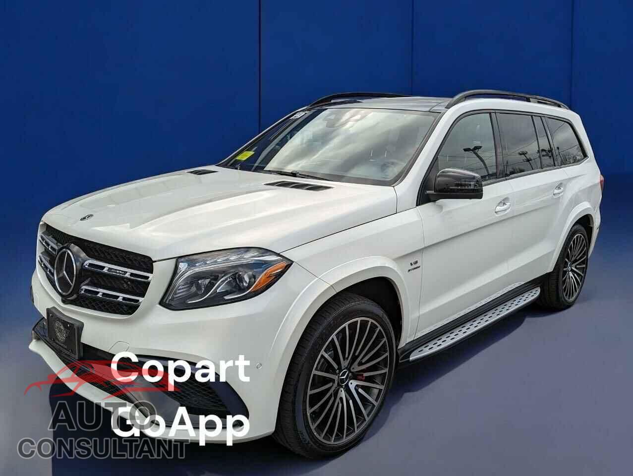 MERCEDES-BENZ GLS-CLASS 2019 - 4JGDF7FE6KB224520