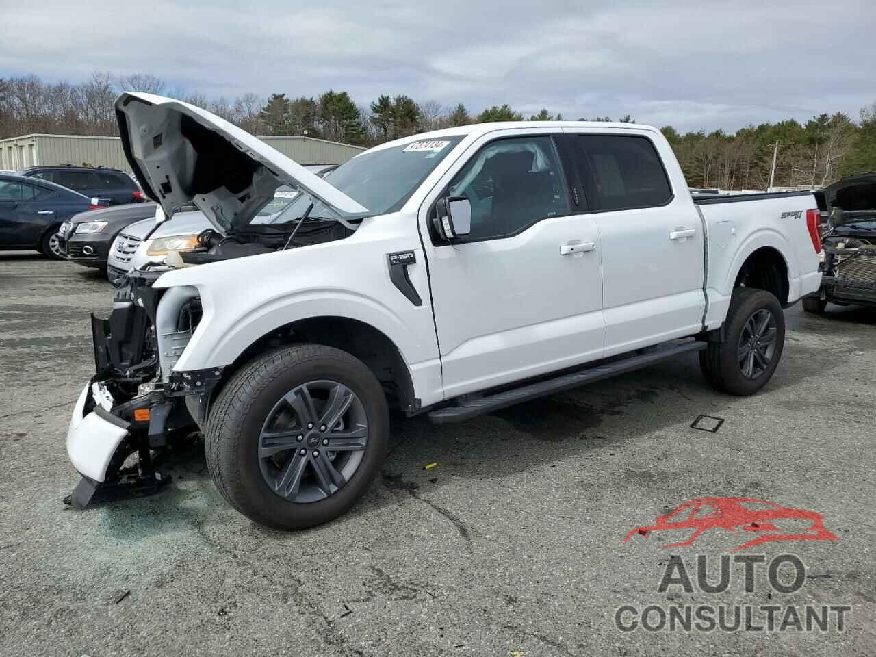 FORD F-150 2023 - 1FTEW1EP2PKD51555