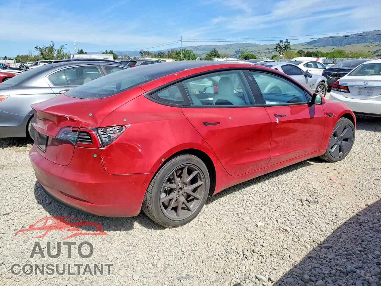 TESLA MODEL 3 2021 - 5YJ3E1EA3MF098101