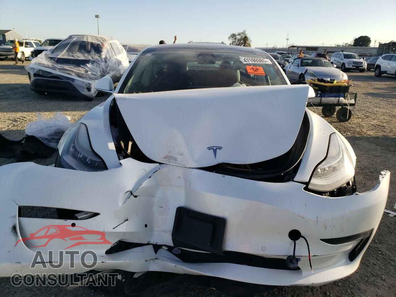 TESLA MODEL 3 2019 - 5YJ3E1EA7KF482542